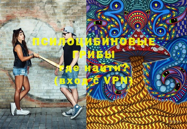 стафф Володарск