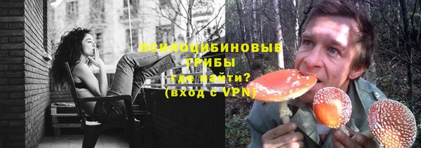 стафф Володарск