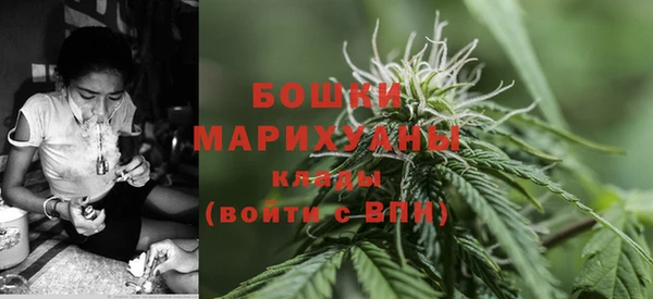ПСИЛОЦИБИНОВЫЕ ГРИБЫ Волоколамск