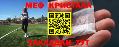 прущие грибы Камышлов