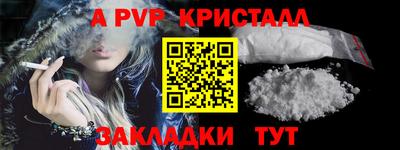 прущие грибы Камышлов