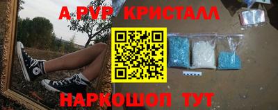прущие грибы Камышлов