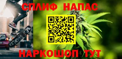 прущие грибы Камышлов