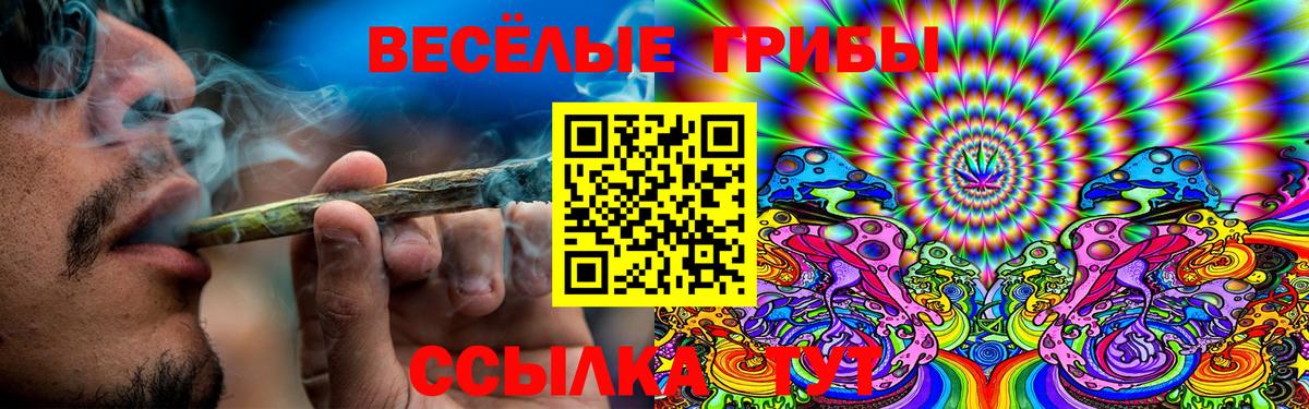 Назарово  Псилоцибиновые грибы мицелий  Вход с VPN  Псилоцибиновые грибы мухоморы 